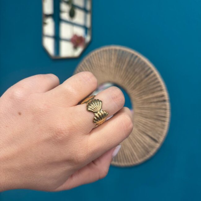 Anello a fascia conchiglie